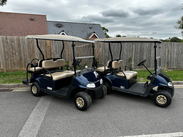 Used Ezgo RXV Elite golf buggy for sale